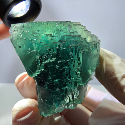 Spécimen de cube de fluorite fantôme transparente, vert parqueté, Okorusu, Namibie, 60 x 44 x 40 mm 
