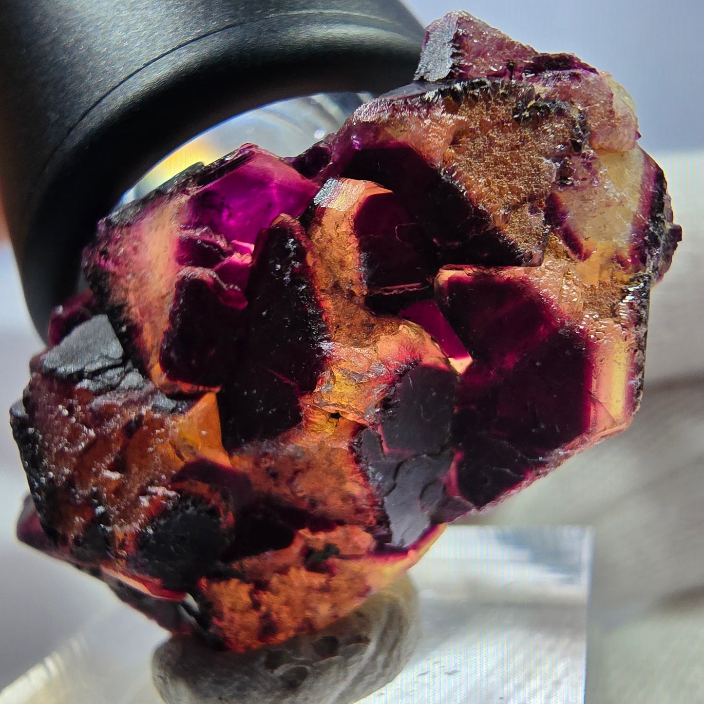 Spécimen rare de cube de fluorite fantôme zonal jaune violet Okorusu, Namibie 40*22*13mm 