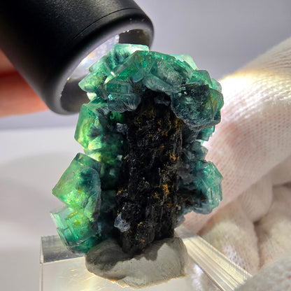 Cube de fluorite fantôme, spécimen de tourmaline Schorl, Erongo, Namibie, 34 x 27 x 22 mm 