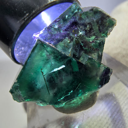 Spécimen rare de cube de fluorite fantôme, vert zonal et violet, Okorusu, Namibie, 24 x 16 x 15 mm 