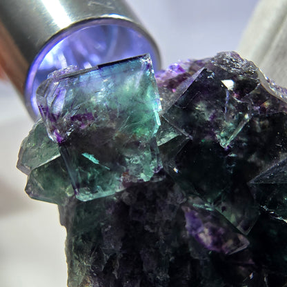 Seltene Phantom Fluorit Würfel Stufe zonal grün lila Okorusu, Namibia 43*36*15mm