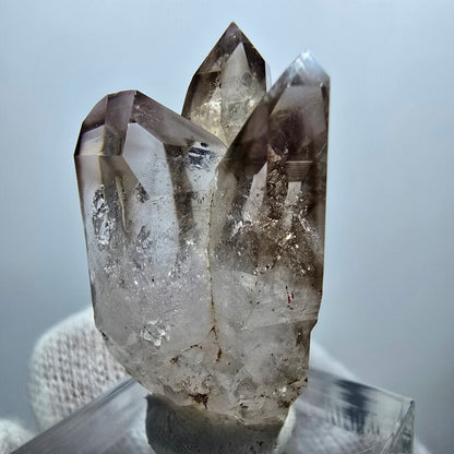 Clear Phantom Smoky Quartz Scepter Cluster Goboboseb, Namibia 35*20*17mm 