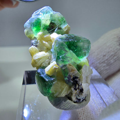 Cube de fluorite fantôme, spécimen de tourmaline scholle muscovite, Erongo, Namibie, 30 x 16 x 15 mm 