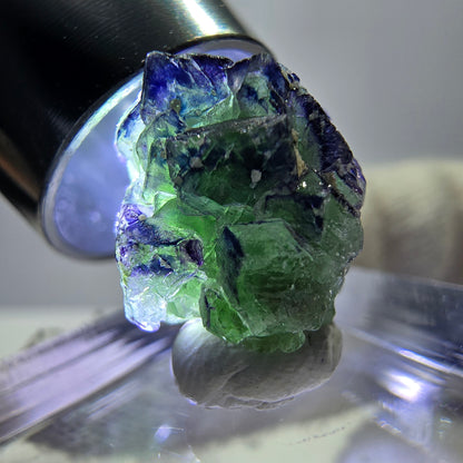 Cube de fluorite fantôme zonal, spécimen de tourmaline Schorl, Erongo, Namibie, 14 x 13 x 13 mm 