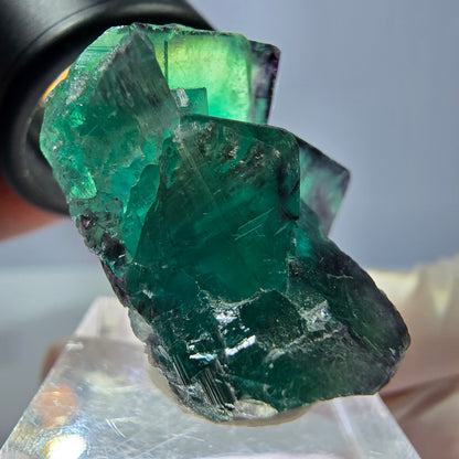 Spécimen de cube de fluorite fantôme, parqueté vert violet Okorusu, Namibie 32 x 30 x 20 mm 