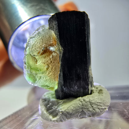 Cube hexagonal de fluorite fantôme, tourmaline Schorl d'Erongo, Namibie 16 x 14 x 13 mm 