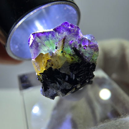 Cube de fluorite fantôme, spécimen de tourmaline scholle muscovite, Erongo, Namibie, 23 x 12 x 13 mm 