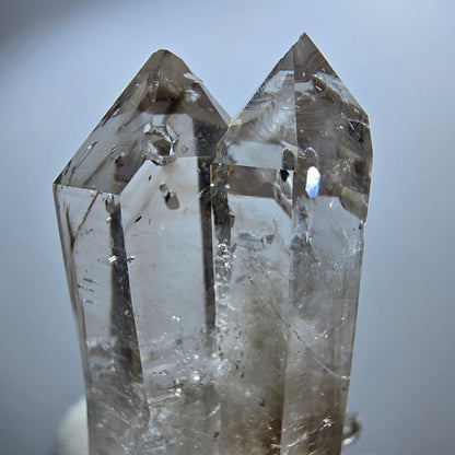 Sceptre Enhydro Phantom Smoky Quartz DT, 2x Bubble Goboboseb, Namibie 42*29*17mm
