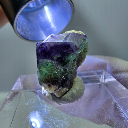 Cube de fluorite fantôme, zonal, spécimen de muscovite, Erongo, Namibie, 18 x 12 x 11 mm 