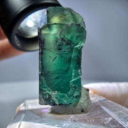 Rare cube de fluorite fantôme parqueté vert violet Okorusu Namibie 25*21*11mm 