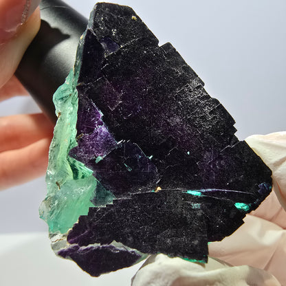 Spécimen de cube de fluorite fantôme vert violet zonal 11:11 Angel Pocket, Namibie 49*47*32mm 