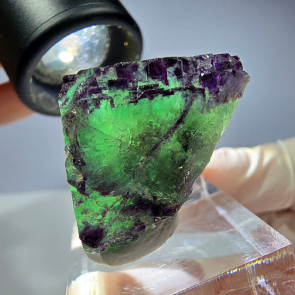 Spécimen de cube de fluorite fantôme, parqueté, zonal Okorusu, Namibie 36*27*20 mm 