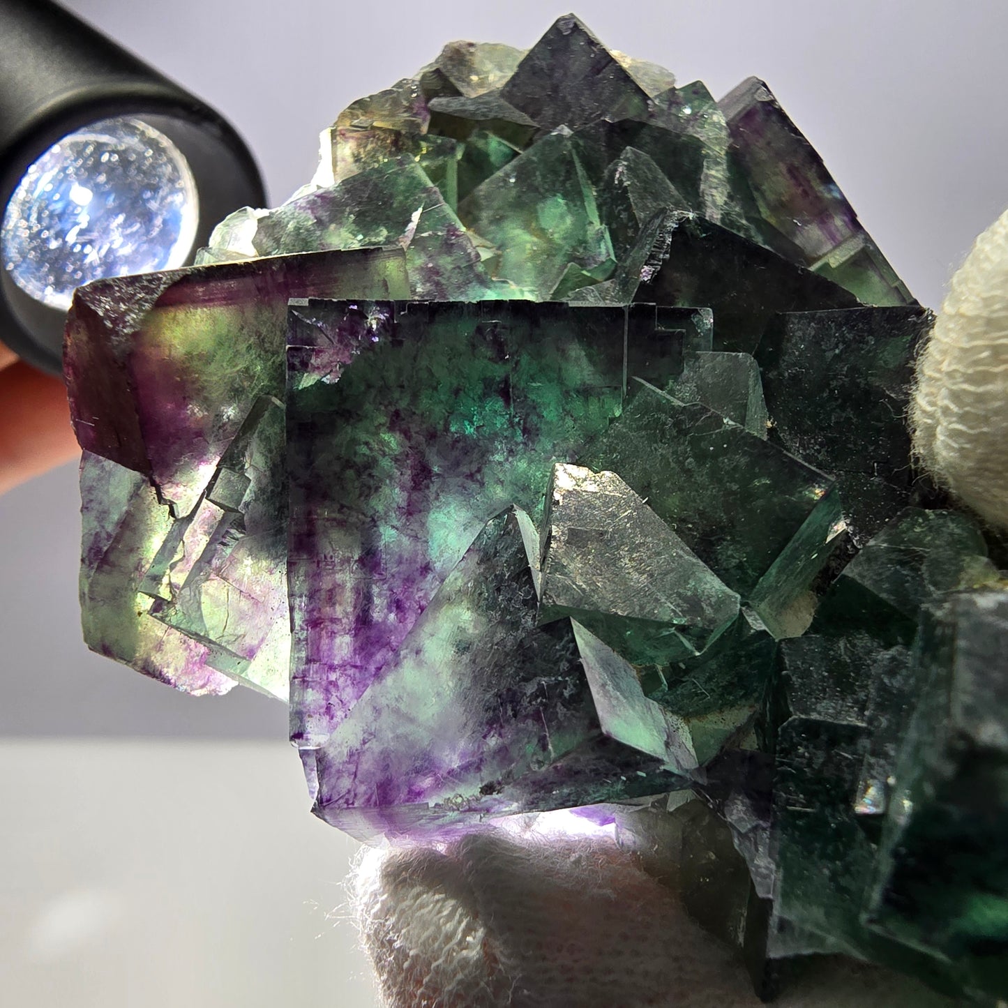 Rare spécimen de cube de fluorite fantôme, parqueté zonal Okorusu Namibie 76 x 62 x 27 mm 