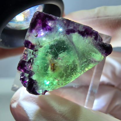 Phantom Fluorit Würfel Stufe, parkettiert, zonal Okorusu, Namibia 18*18*18mm