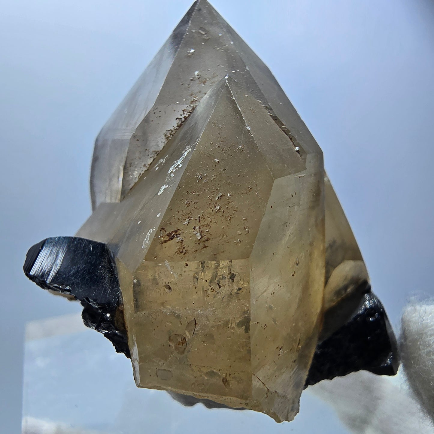Spécimen rare de quartz fumé et de tourmaline Schorl à Erongo, Namibie, 53 x 48 x 39 mm 