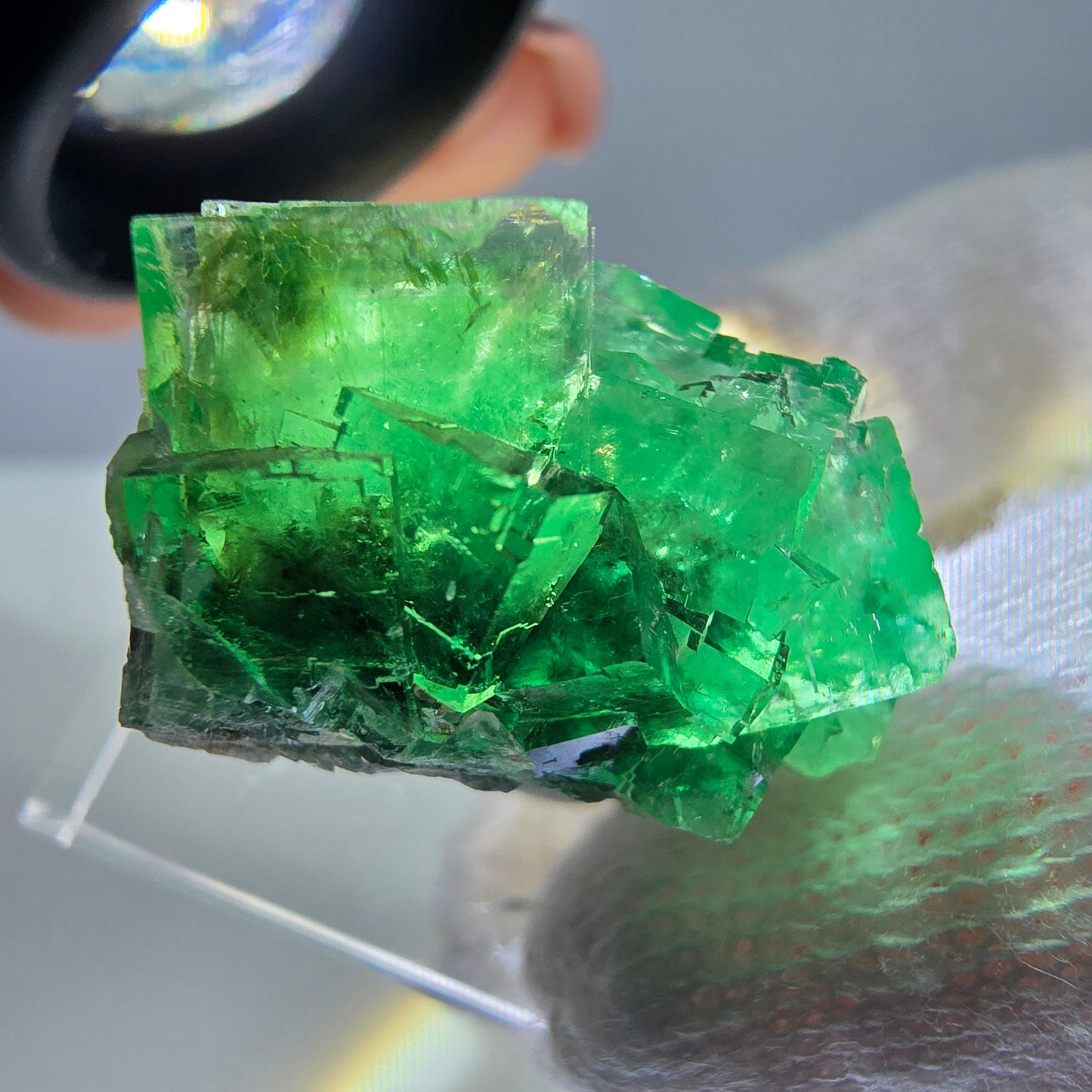 Cube de fluorite fantôme parqueté, vert Okorusu, Namibie 25*21*16mm 