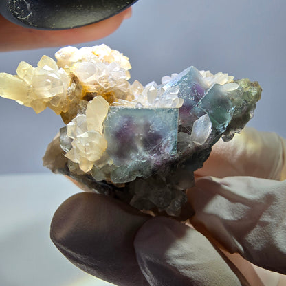 Rare cube de fluorite fantôme, spécimen de quartz vert violet Okorusu Namibie 46 x 33 x 30 mm 