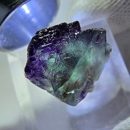 Rare spécimen de cube de fluorite fantôme, vert-violet zonal, Okorusu, Namibie, 16 x 14 x 14 mm 