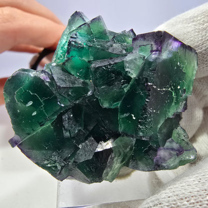 Phantom Fluorit Würfel Stufe parkettiert zonal Okorusu, Namibia 50*40*28mm