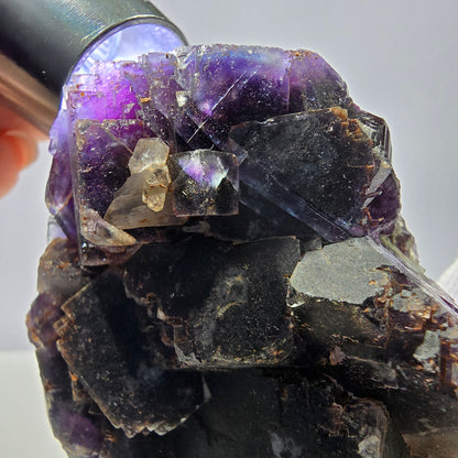 Spécimen de cube de fluorite fantôme, violet, rouge et bleu, Okorusu, Namibie, 91 x 58 x 22 mm 