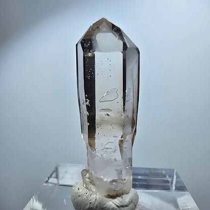 Pointe de sceptre en quartz fumé fantôme transparent, Goboboseb, Namibie, 31 x 8 x 8 mm 