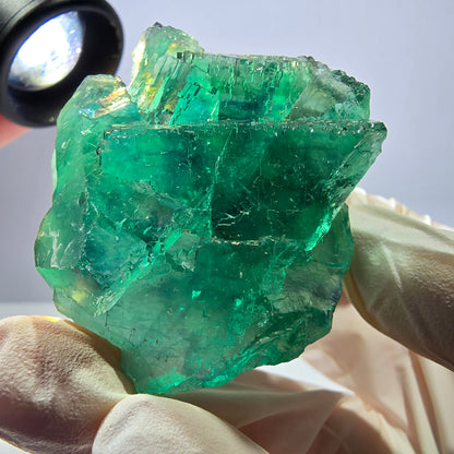 Spécimen de cube de fluorite fantôme transparente, vert parqueté, Okorusu, Namibie, 51 x 40 x 26 mm 