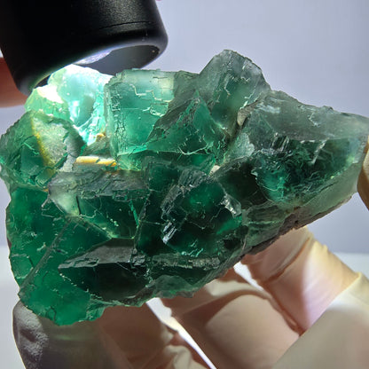 Rare spécimen de cube de fluorite fantôme, parqueté vert Okorusu, Namibie, 61 x 45 x 28 mm 