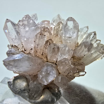 Phantom Smoky Quartz Scepter Cluster Valentine Pocket, Namibia 46*43*25mm 