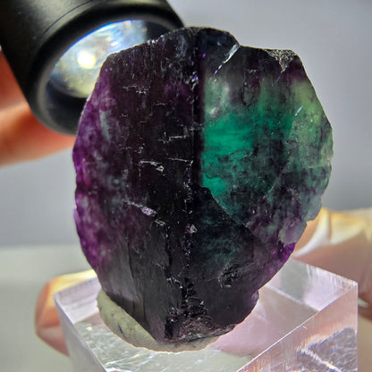 Rare cube de fluorite fantôme parqueté vert violet Okorusu Namibie 31*30*25mm 
