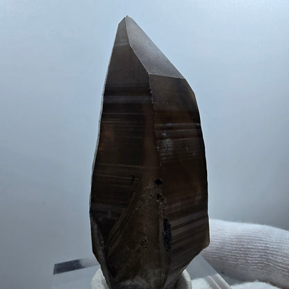Sceptre de poche en quartz fumé fantôme lémurien Valentine Goboboseb Namibie 72 x 35 x 29 mm 