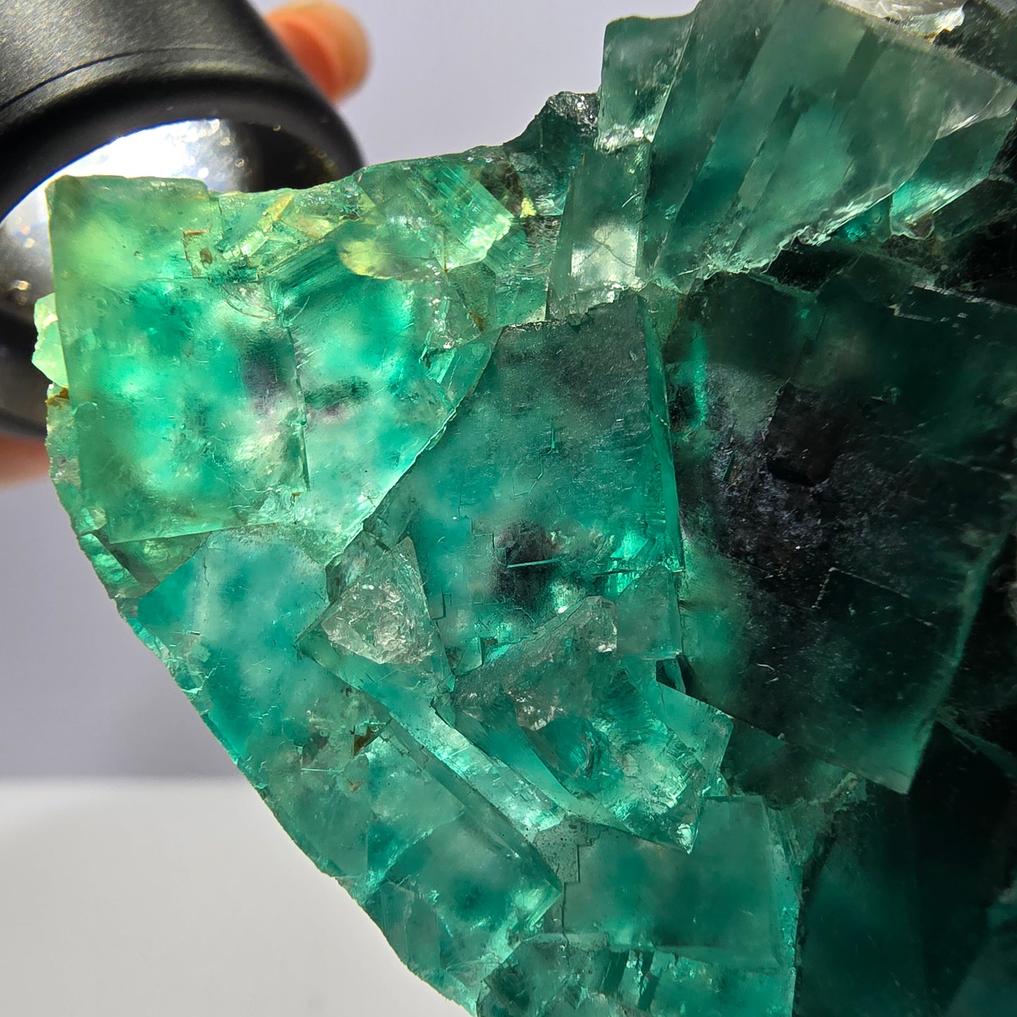Seltene Phantom Fluorit Würfel Stufe parkettiert grün Okorusu Namibia 65*51*16mm
