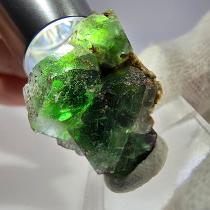 Cube de fluorite fantôme zonal, tourmaline muscovite Schorl Erongo Namibie 26 x 23 x 15 mm 