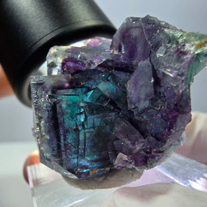 Seltene Fluorit Würfel Stufe, grün lila Okorusu, Namibia 31*27*19mm
