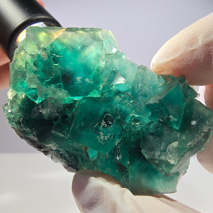 Spécimen de cube de fluorite fantôme transparente, vert parqueté, Okorusu, Namibie, 58 x 45 x 16 mm 