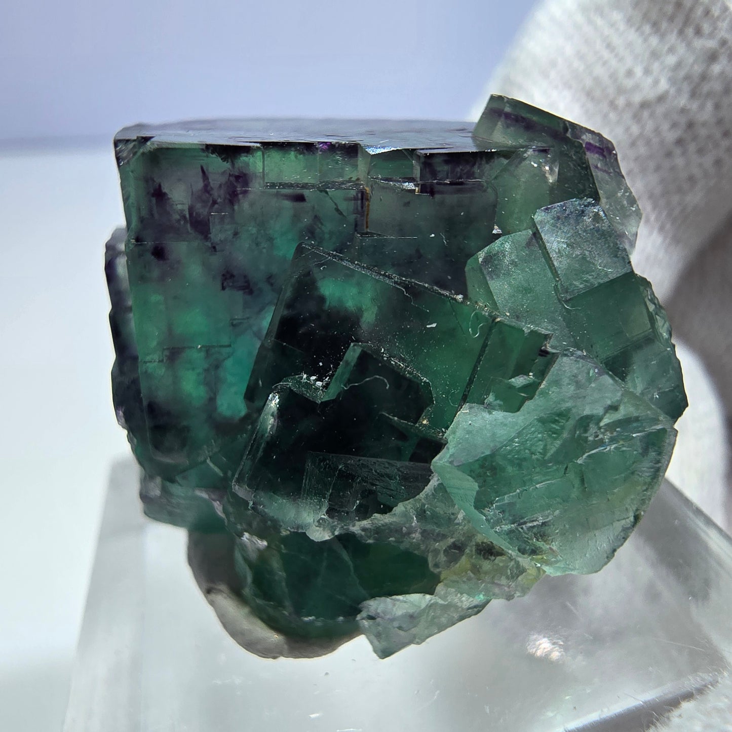Spécimen rare de cube de fluorite fantôme, vert zonal et violet, Okorusu, Namibie, 30 x 26 x 18 mm 