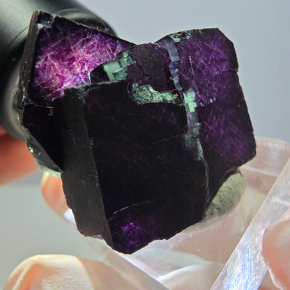 Phantom Fluorit Würfel Stufe grün lila zonal 11:11 Angel Pocket, Namibia 30*28*25mm
