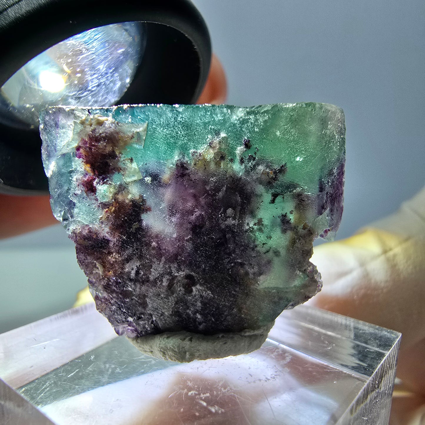 Phantom Fluorit Würfel Stufe, parkettiert grün lila Okorusu, Namibia 27*21*16mm