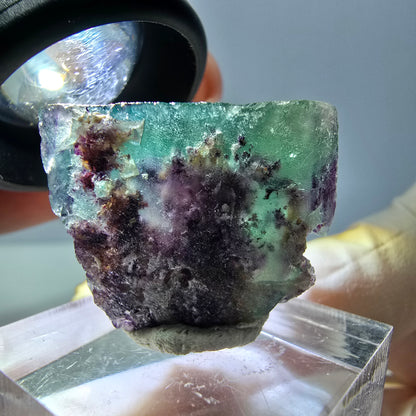 Phantom Fluorit Würfel Stufe, parkettiert grün lila Okorusu, Namibia 27*21*16mm