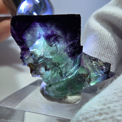 Spécimen rare de cube de fluorite fantôme, vert-violet zonal, Okorusu, Namibie, 37 x 23 x 15 mm 