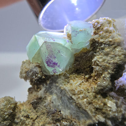 Spécimen de cube de fluorite fantôme zonal, de muscovite et de tourmaline Schorl, Erongo, Namibie, 37 x 25 x 21 mm 
