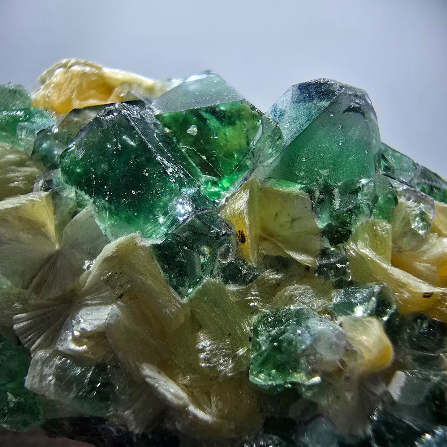 Rare Phantom Fluorite Cubes, Muscovite Specimen Erongo, Namibia 51*31*24mm 