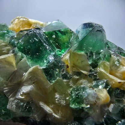 Rare Phantom Fluorite Cubes, Muscovite Specimen Erongo, Namibia 51*31*24mm 