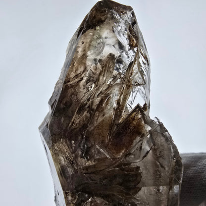 Sceptre de poche Saint-Valentin en quartz fumé fantôme squelette, Namibie 122 x 72 x 32 mm 