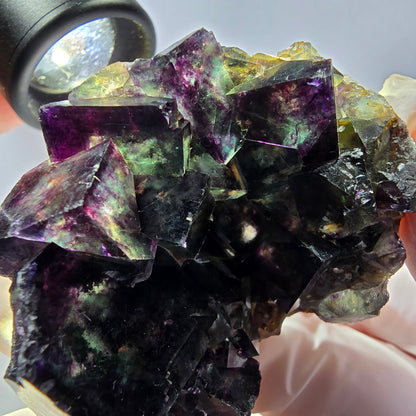 Spécimen de cube de fluorite fantôme, parqueté vert violet, Okorusu, Namibie 57*50*35 mm 