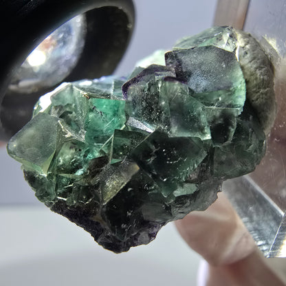 Spécimen de cube de fluorite fantôme, parqueté vert violet Okorusu, Namibie 35*27*13 mm 