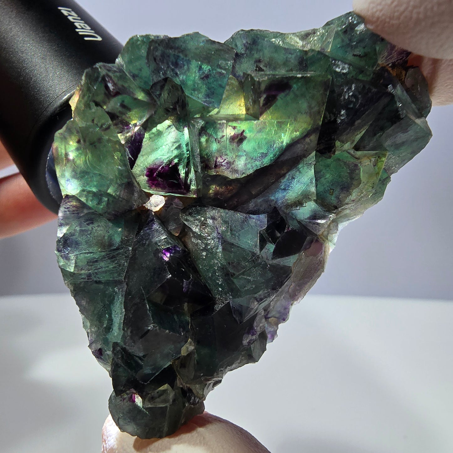 Spécimen de cube de fluorite fantôme, parqueté vert violet Okorusu, Namibie 64*41*19 mm 