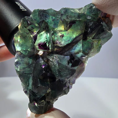 Spécimen de cube de fluorite fantôme, parqueté vert violet Okorusu, Namibie 64*41*19 mm 