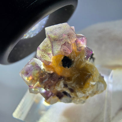 Spécimen de fluorite fantôme colorée, tourmaline scholle, muscovite, Erongo, Namibie, 31 x 21 x 21 mm 