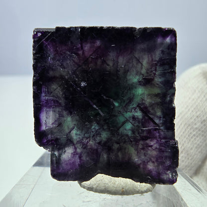 Rare cube de fluorite fantôme zonal, vert violet Okorusu, Namibie 31*29*15mm 