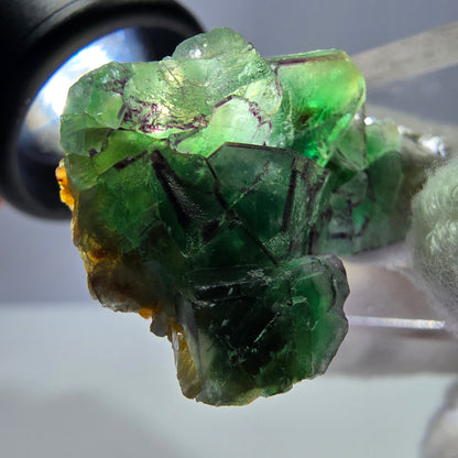 Cube de fluorite fantôme zonal, tourmaline muscovite Schörl Erongo Namibie 31 x 22 x 20 mm 